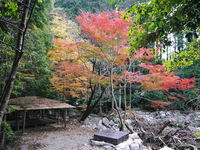 FLC日記 敷地でしりとり(秋編)_a0254656_197248.jpg