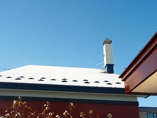 e0004756_2055754.jpg