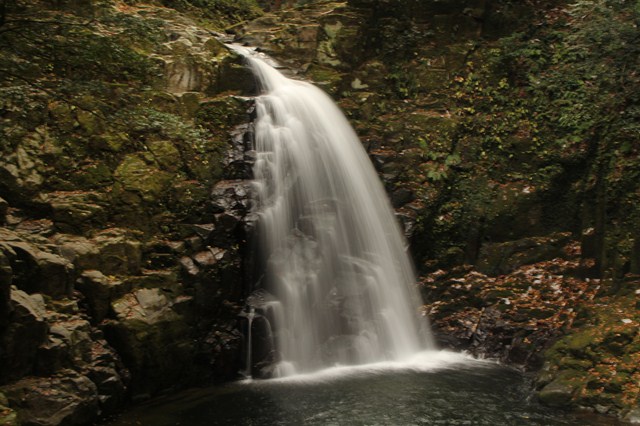 b0242358_97554.jpg