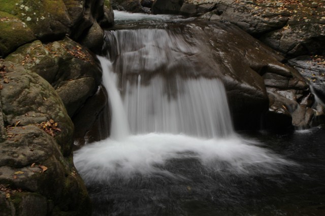 b0242358_98393.jpg