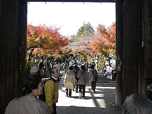 f0156359_20292147.jpg