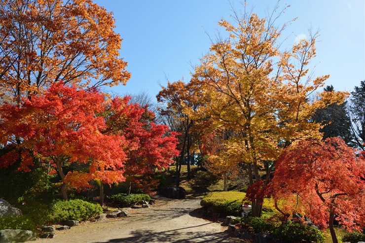 f0222161_13213793.jpg