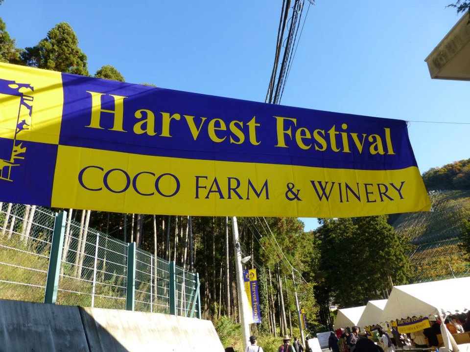 c0100865_64882.jpg