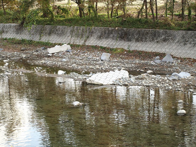 b0089967_20492257.jpg