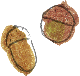 d0243667_2344334.png