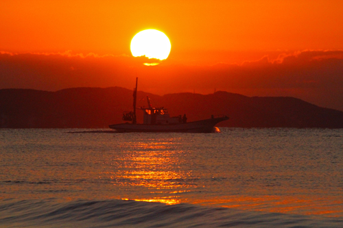 a0157069_82988.jpg