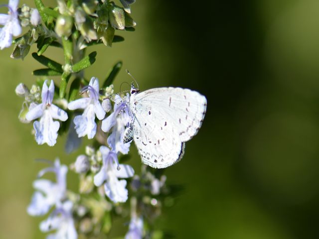  11月中旬の動植物公園_f0179175_1014495.jpg