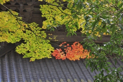 b0207284_333131.jpg