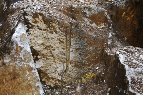 d0209085_37844.jpg