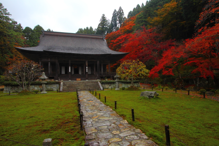 宝泉院_e0051888_483390.jpg