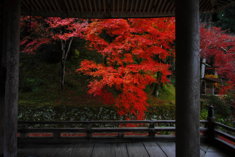 宝泉院_e0051888_49149.jpg