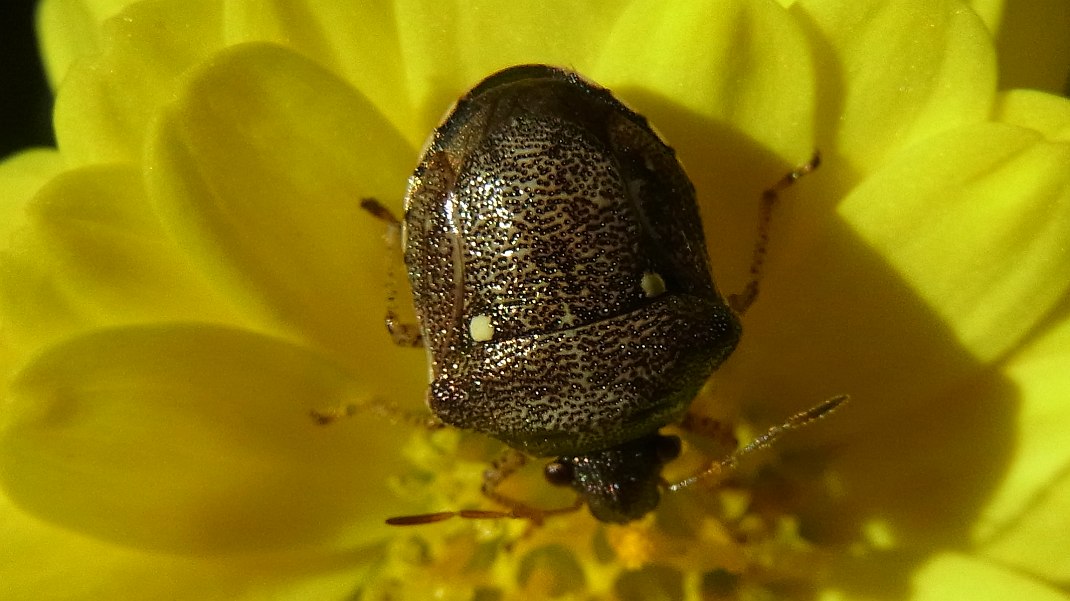a0152692_1825267.jpg