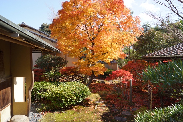 綺麗～有馬温泉の秋、有馬温泉の観光スポット、有馬温泉紅葉の見所、日本維新の会に期待今回の総選挙①_d0181492_23551235.jpg