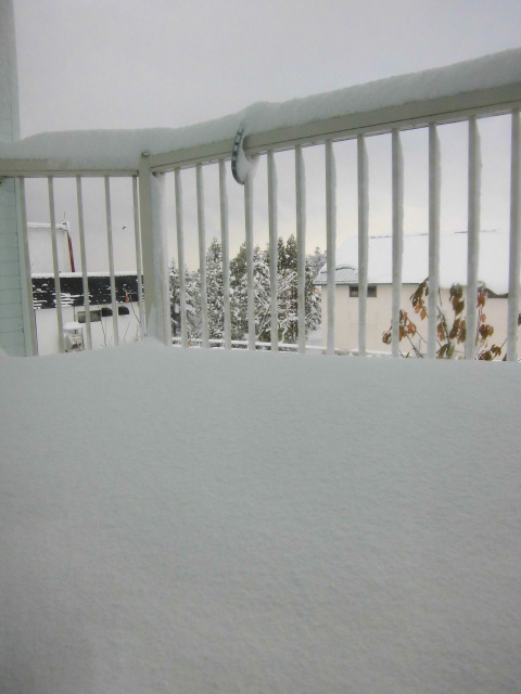 c0235399_224578.jpg