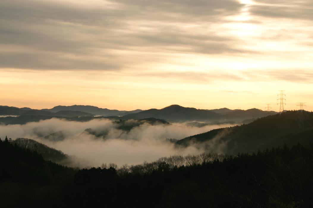 c0072801_2255955.jpg