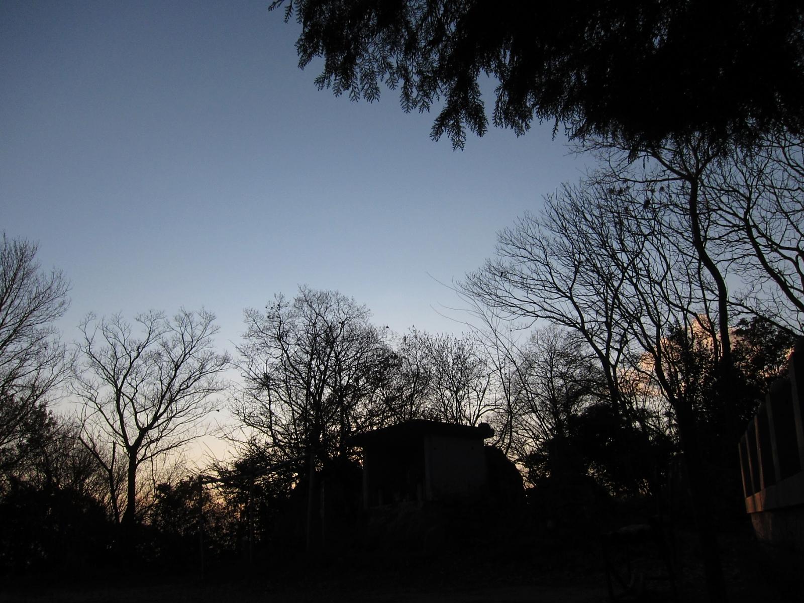 c0072801_228735.jpg
