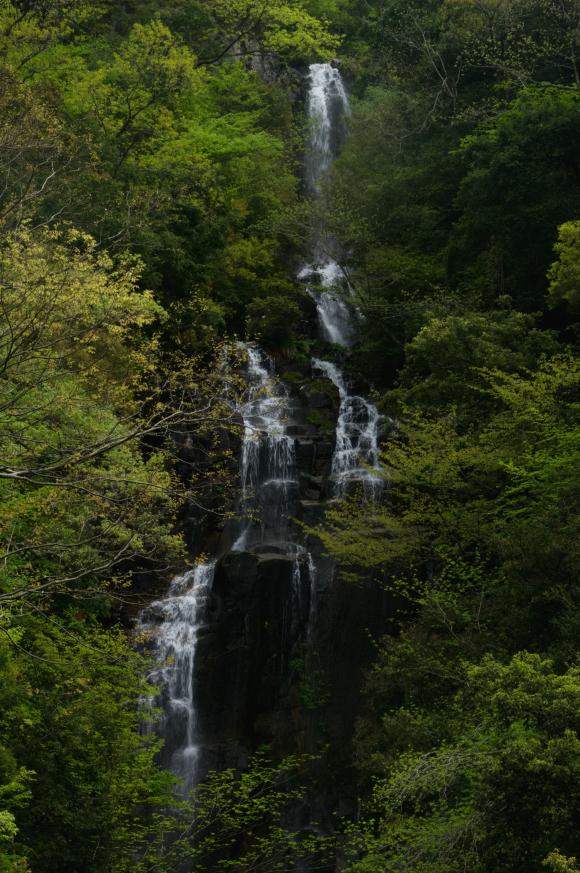 c0072801_2331196.jpg