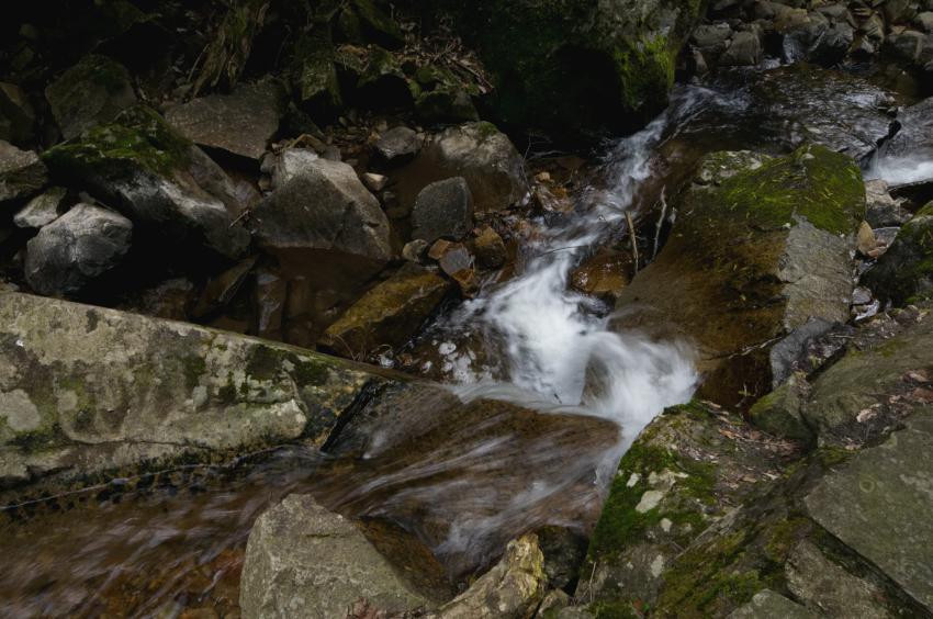 c0072801_2402442.jpg