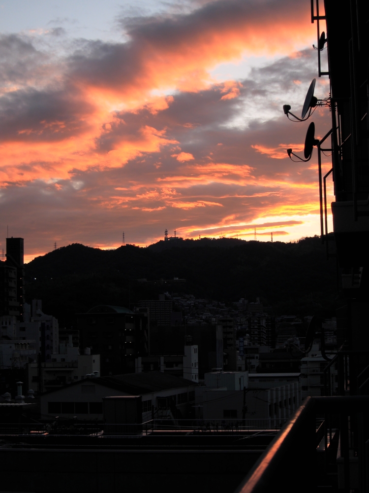 c0072801_2565286.jpg