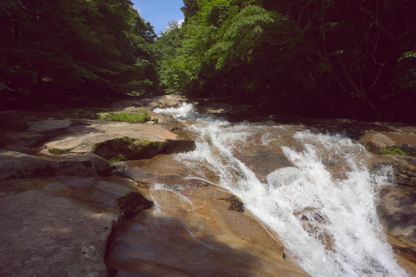 c0072801_312954.jpg