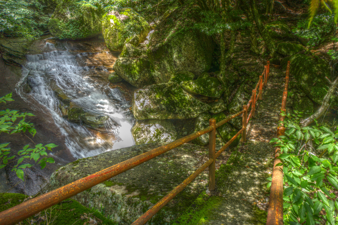 c0072801_324315.jpg