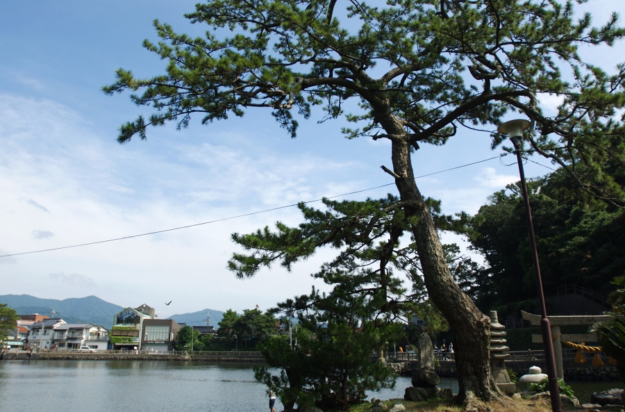 c0072801_335168.jpg