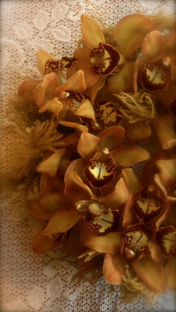 b0083902_2331575.png