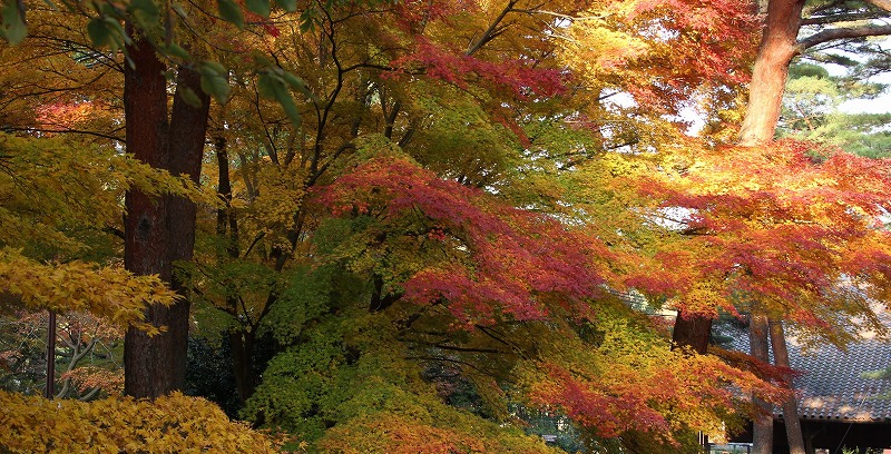 a0123003_2012538.jpg