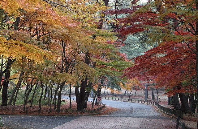 a0123003_21104333.jpg