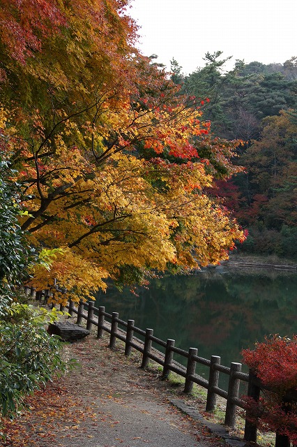 a0123003_21131695.jpg