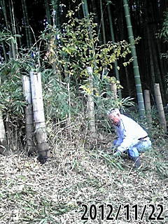 e0270403_02272.jpg
