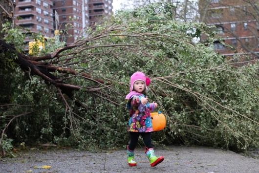 NYの写真家さんのハリケーン募金、ネットと写真の力で25万ドル突破 Humans of New York_b0007805_3371560.jpg