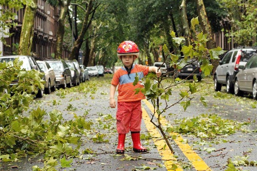 NYの写真家さんのハリケーン募金、ネットと写真の力で25万ドル突破 Humans of New York_b0007805_3383764.jpg