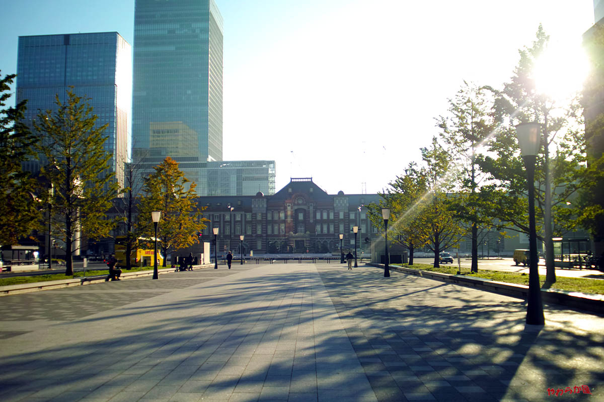 b0134907_13462791.jpg