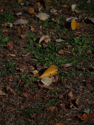 c0156908_651424.jpg