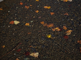 c0156908_652533.jpg