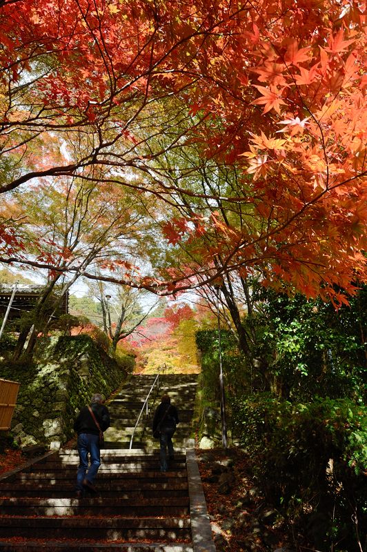 2012京都の紅葉・金蔵寺　其の二_f0032011_19302185.jpg