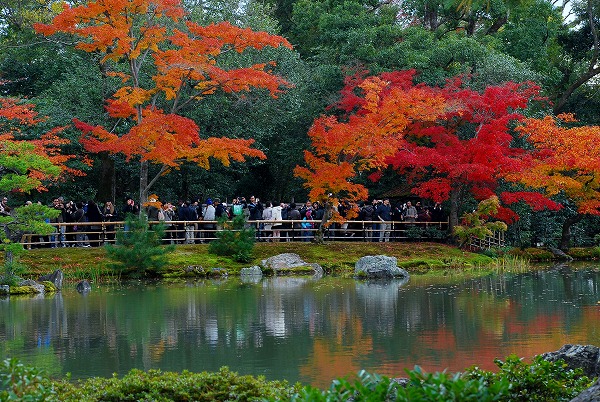 紅葉　－　金閣寺_a0114714_012717.jpg