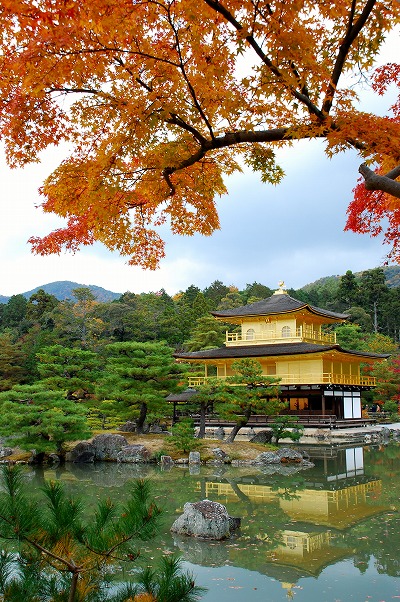 紅葉　－　金閣寺_a0114714_0131641.jpg