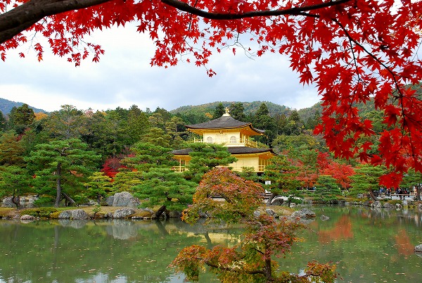 紅葉 － 金閣寺 : 一年365日 京日和 Ⅱ