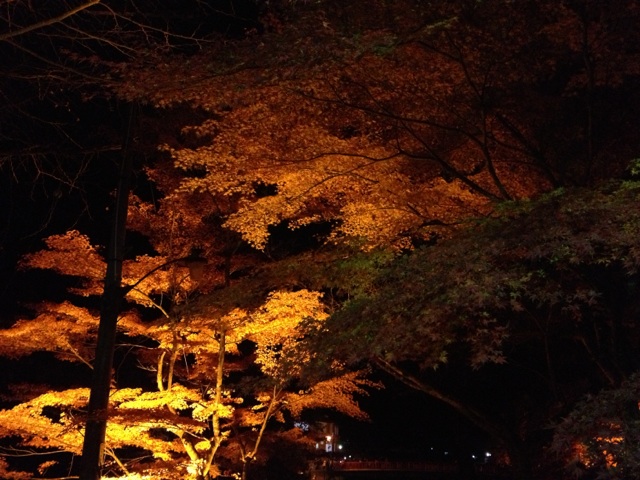 香嵐渓のライトアップに行ってきました(^O^)_c0213517_10461617.jpg