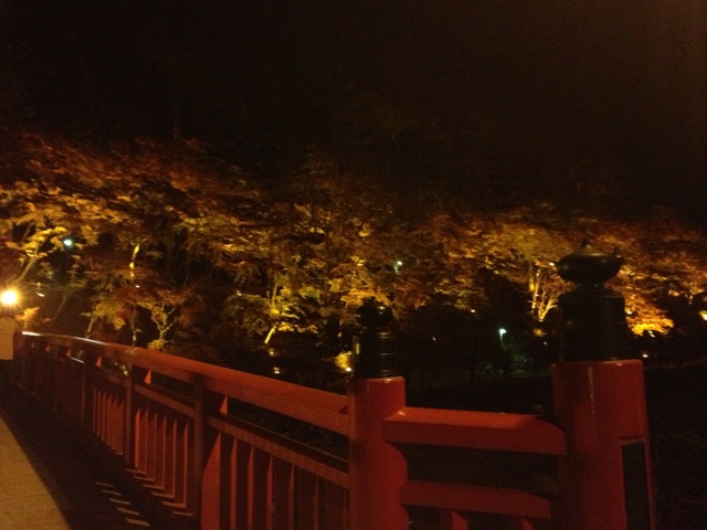 香嵐渓のライトアップに行ってきました(^O^)_c0213517_10482429.jpg
