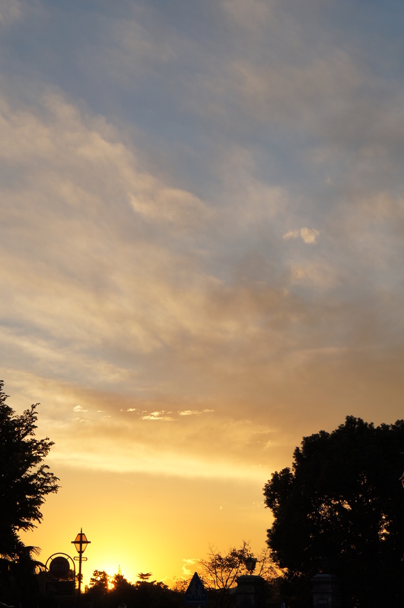 b0192820_22134941.jpg