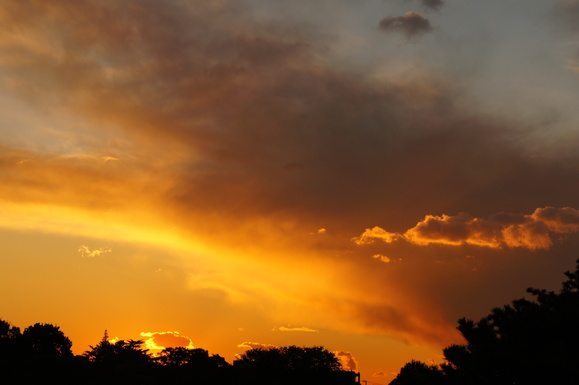 b0192820_22171513.jpg