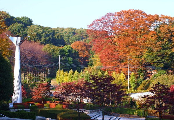 f0214527_11245947.jpg