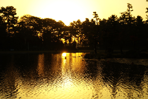 d0250028_74258.jpg