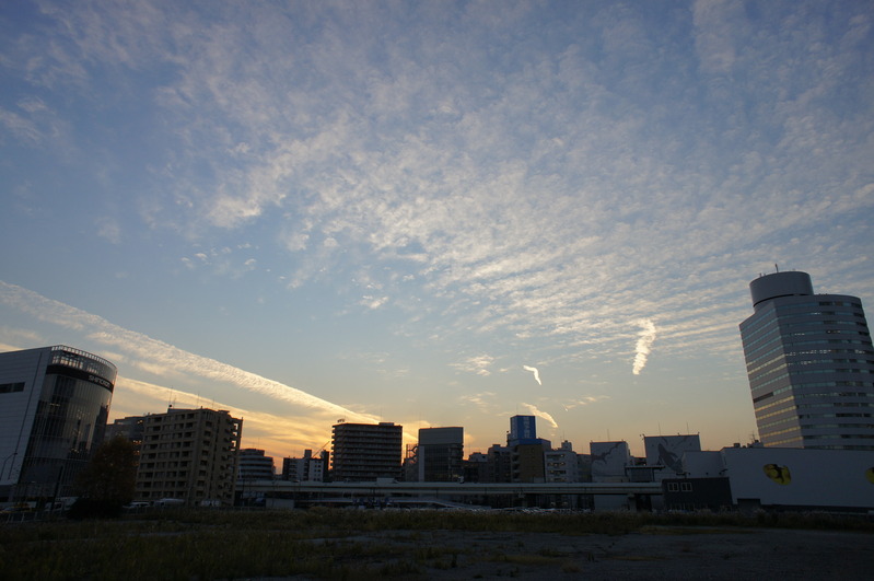 a0217029_228478.jpg