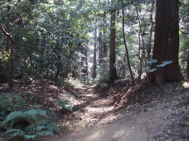 e0098130_2149276.jpg