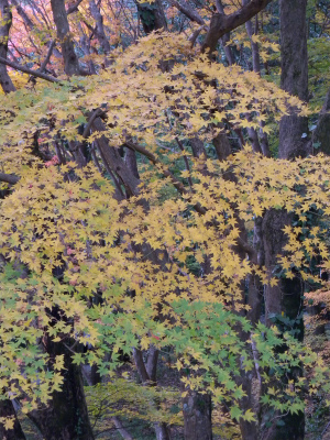 e0272335_22133074.jpg
