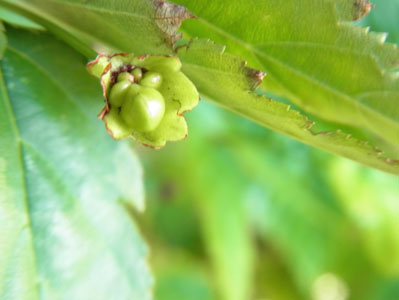 f0206939_191430.jpg
